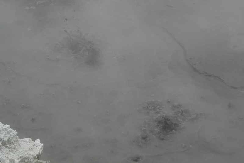 Nieuw-Zeeland 2011 - 0592